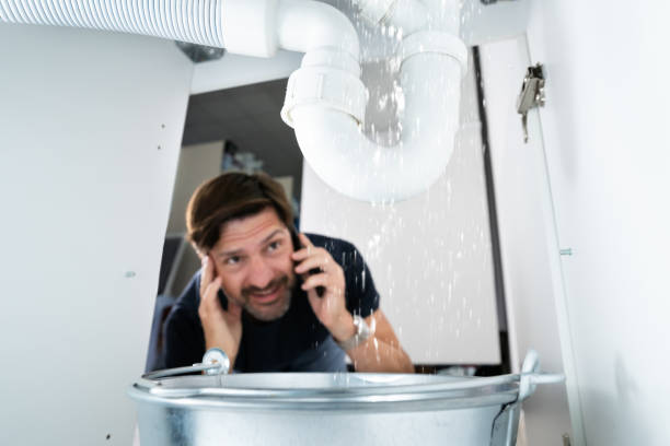 Best Water Leak Repair  in Hawthorne, FL